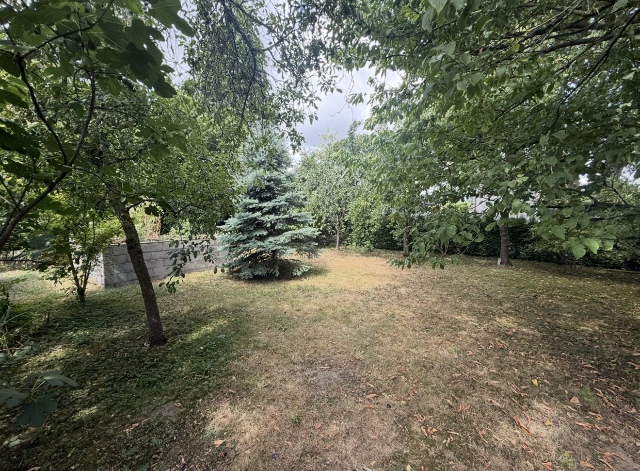 Großzügiger Garten mit altem Baumbestand